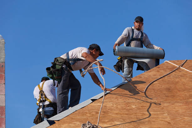 Best Storm Damage Roof Repair  in Tyndall Af, FL