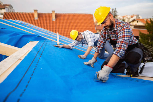 Best Gutter Installation and Roofing  in Tyndall Af, FL