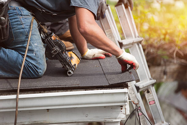 Best Gutter Installation and Roofing  in Tyndall Af, FL